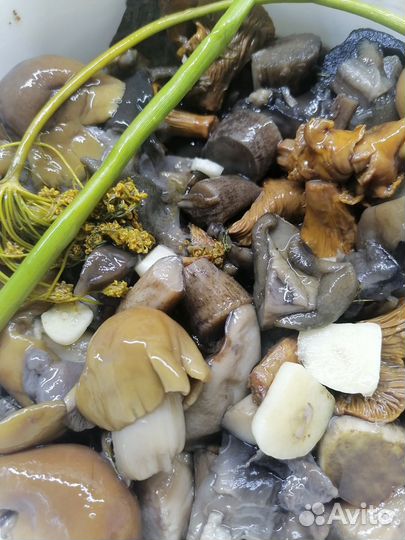 Солёные грибы, чёрный груздь, ассорти, опята