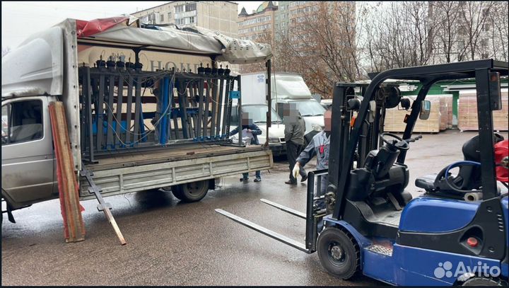 Вайма универсальная