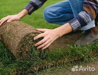 Газон рулонный