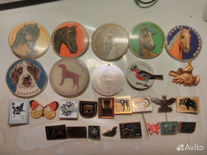 Детские, мультфильмы и т.д