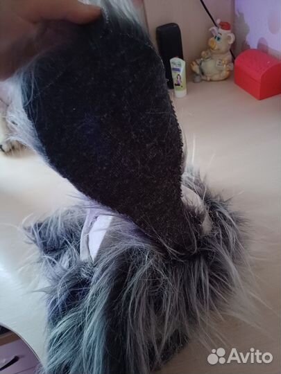 Фурсьют зубастика