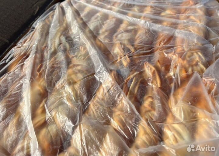 Сыр косичка оптом