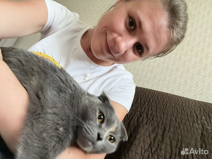 Котоняня/передержка на время отъезда