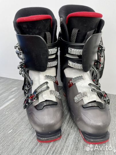 Горнолыжные ботинки dalbello