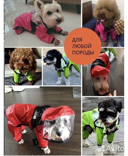 Дождевик для собаки