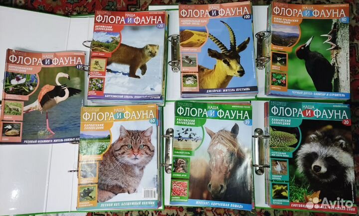 Журналы Наша Флора и Фауна все номера до 103