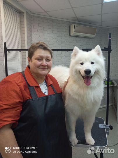 Услуги грумера