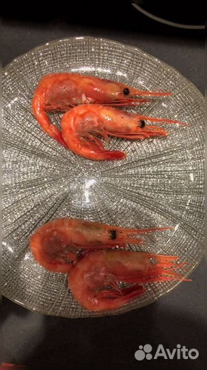 Креветка Северная