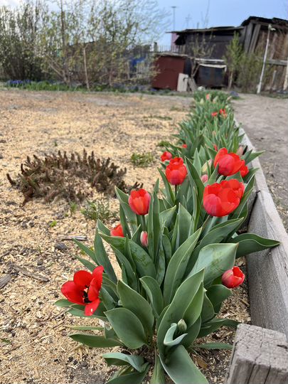 Дом 53 м² на участке 10 сот.