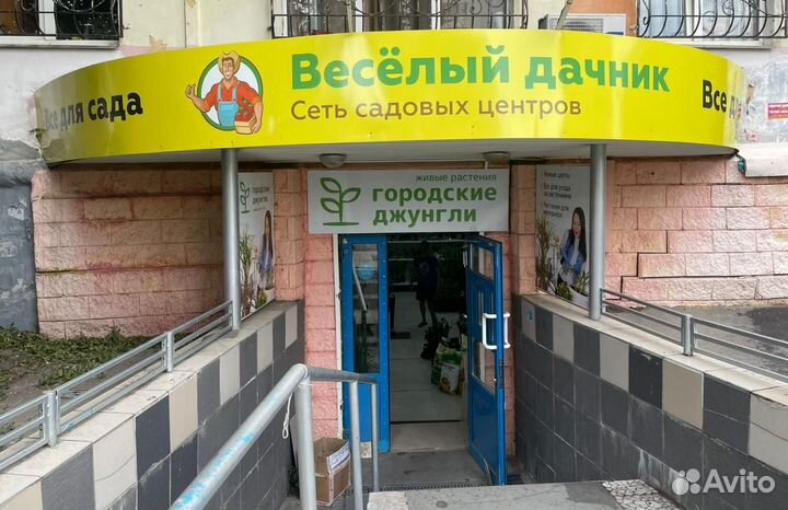 Мюлетбекия