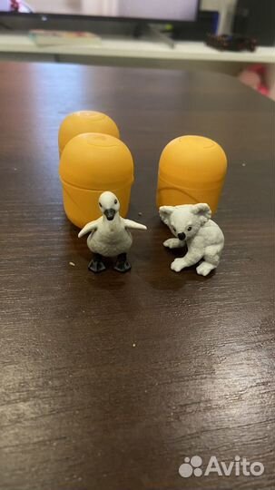 Киндер нантунс детеныши