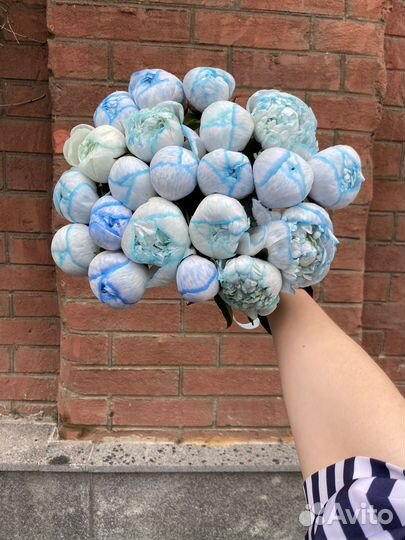 Букет из космических Пионов Цветы с Доставкой 24/7