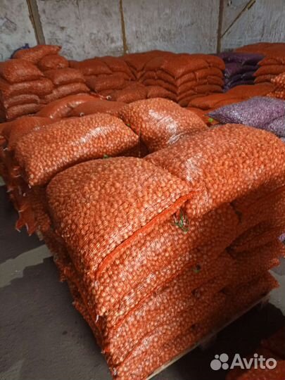 Только опт от 1 сетки (25кг) Штутгартер колобок