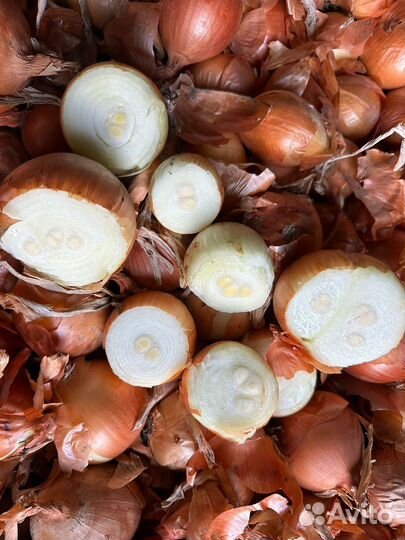 Лук на перо