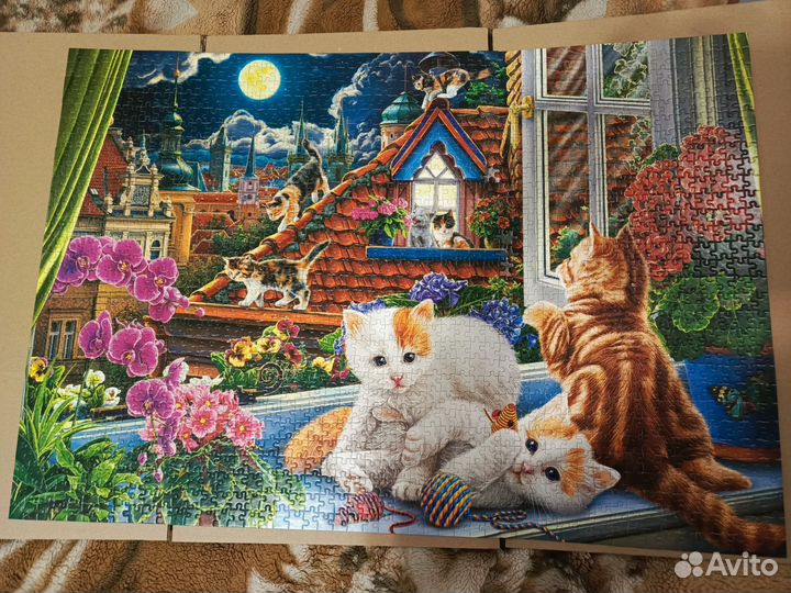 Пазлы 500 и 1500