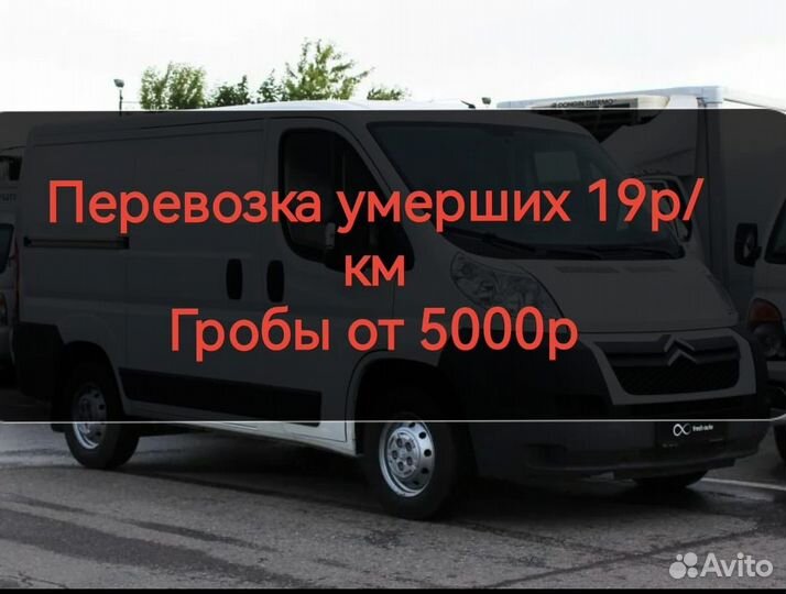 Перевозка умерших в любой город.Зеленоград.гроб