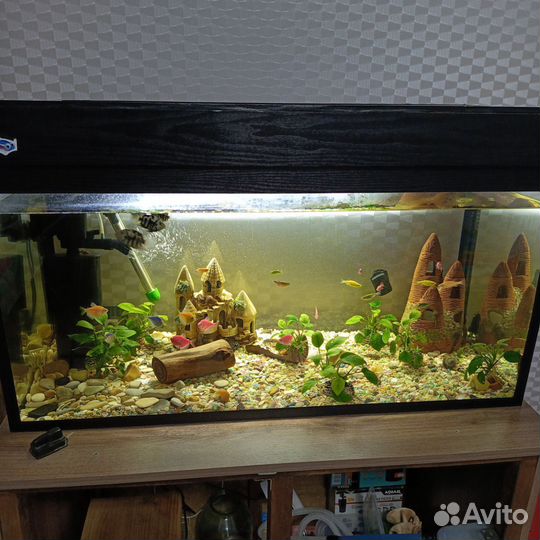 Продам аквариум 160 литров