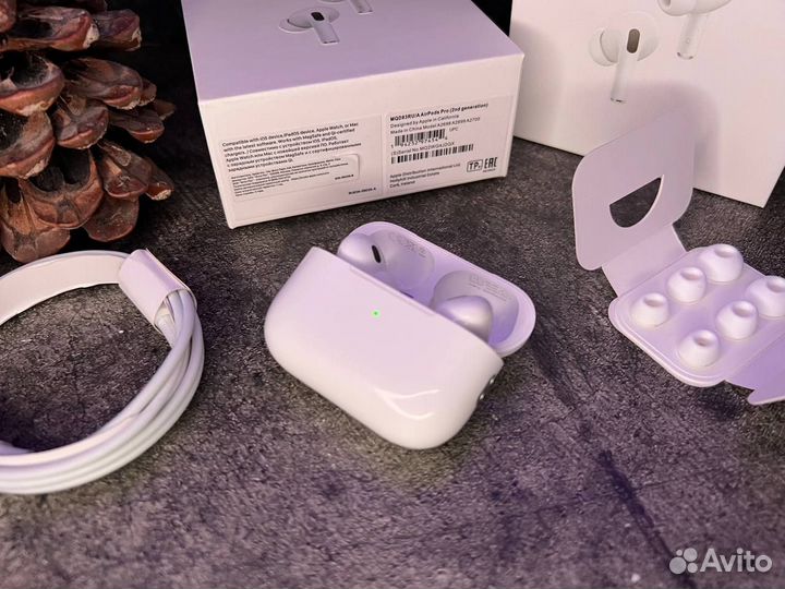 AirPods Pro 2 (чехол+гарантия)