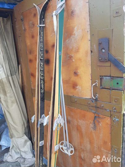 Беговые лыжи