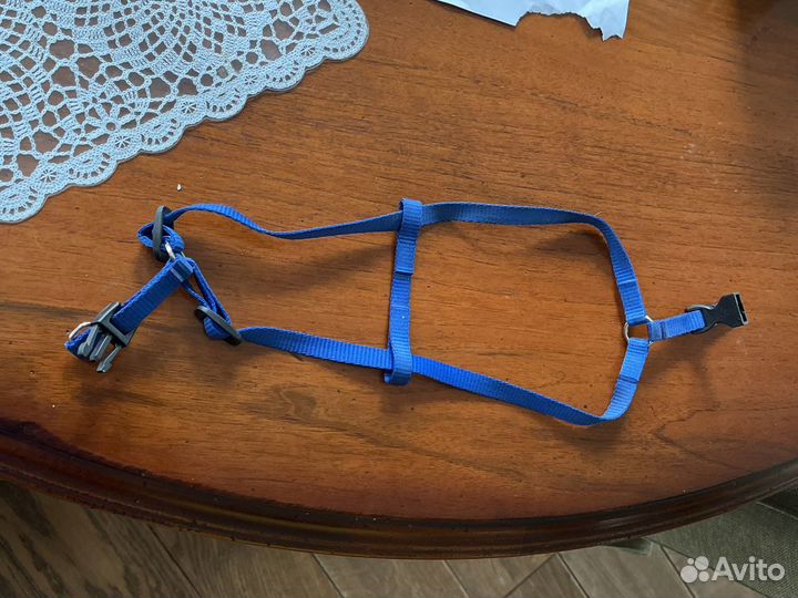 Шлейка для маленькой собаки или кошки