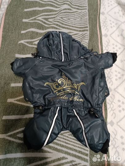 Одежда для маленьких собак xs