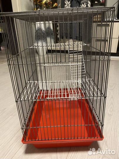 Клетка для крысы