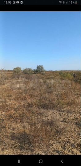 Участок 8 сот. (СНТ, ДНП)