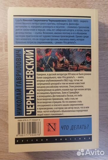 Н.Г. Чернышевский 