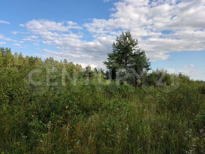 Участок 16,3 сот. (ИЖС)