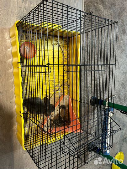 Кролик с клеткой