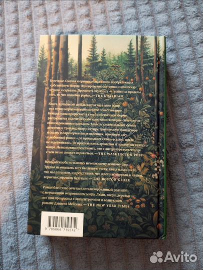 Северный лес