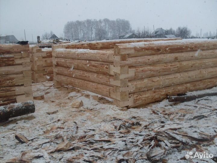 Срубы, зимний лес