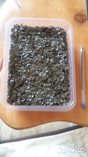 Масло подсолнечное.конопляное домашнее