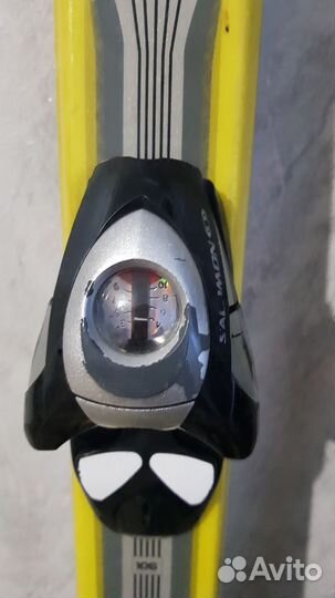 Горные лыжи fischer sceneo s100