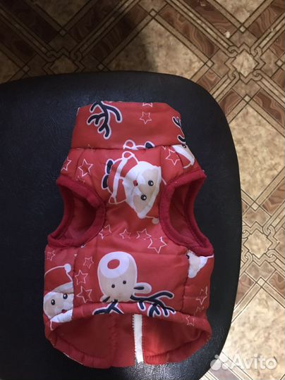 Жилет для животных