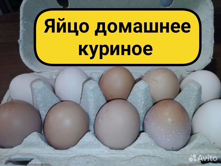 Домашние куриные яйца