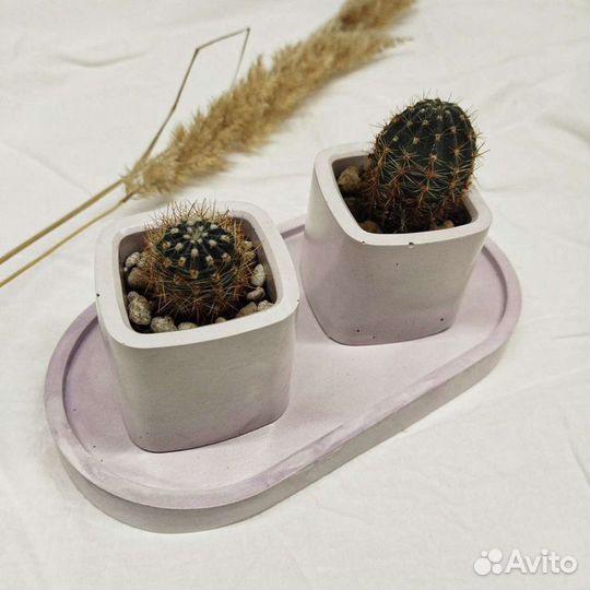 Кашпо для кактусов, суккулентов, свечей, из гипса