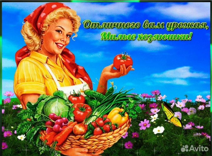 Удобрения от бывалого дачника