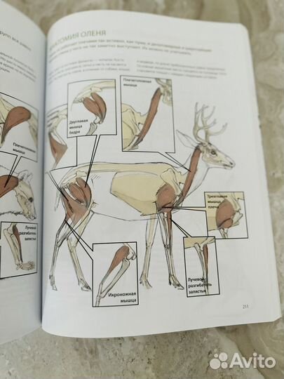 Резерв. Лоуз Дневник художника-натуралиста