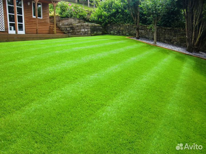 Рулонный газон 