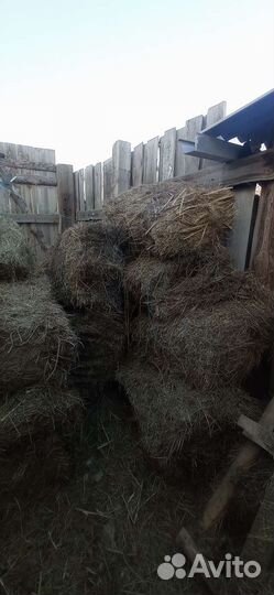 Продам прошлогоднее сено