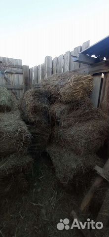 Продам прошлогоднее сено