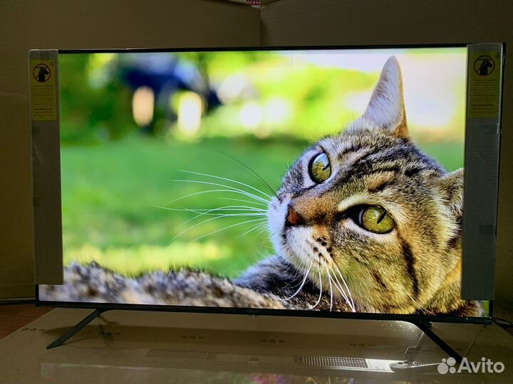 Фантастический qled телевизор 55(лучше Samsung)