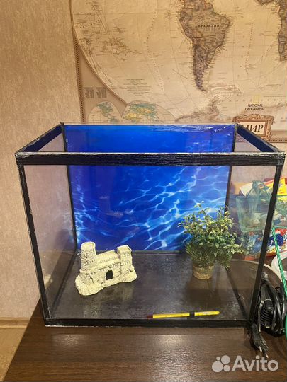 Аквариум и комплектующие