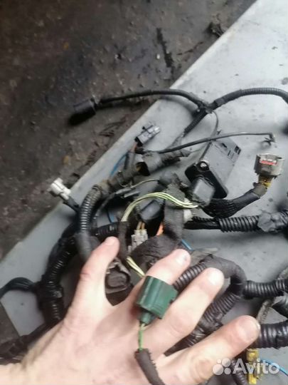 Проводка моторного отсека пежо боксер10г 2.2д 120л