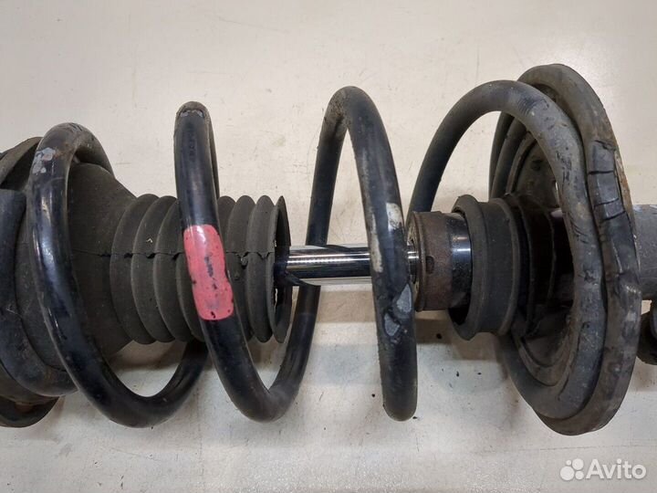 Амортизатор подвески правый передний Scion tC, 2009