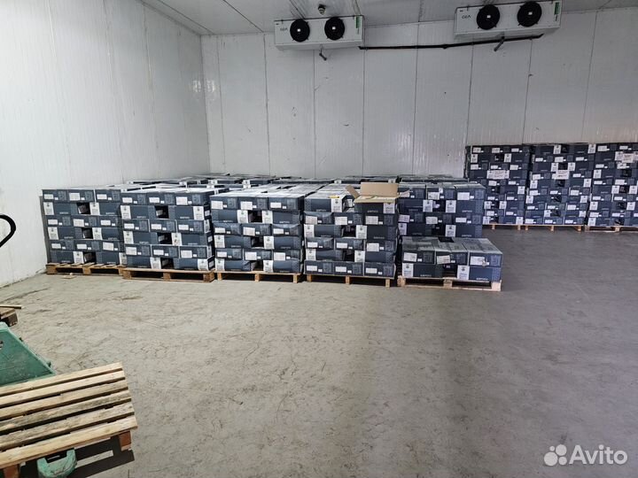 Финики свежие