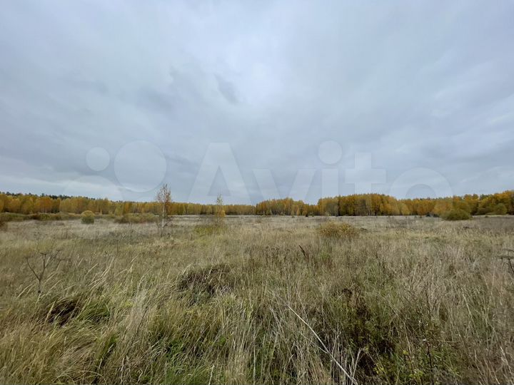 Участок 7,8 га (СНТ, ДНП)