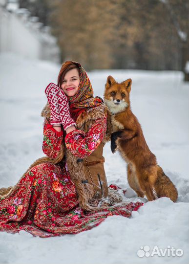 Зоопсихолог кошки/Фелинолог/Решение проблем