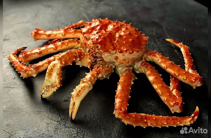 Краб Камчатский